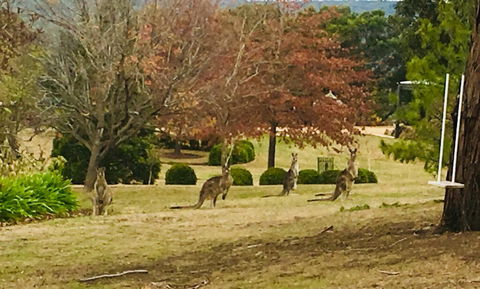 Highfield Cottage - VIC Tourism 2