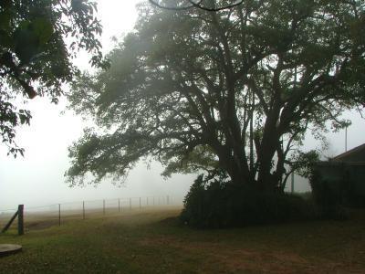 Hillview Cottages - VIC Tourism 3