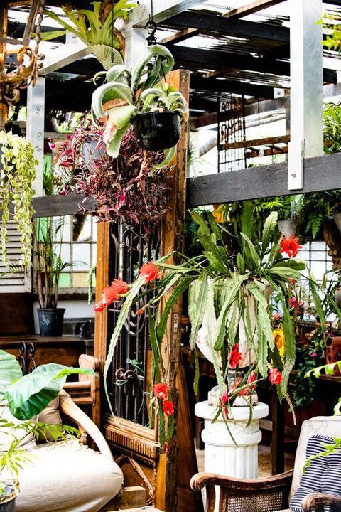 Jaspers Apartments - VIC Tourism 3