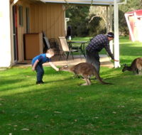 Kalgan River Chalets and Caravan Park - VIC Tourism