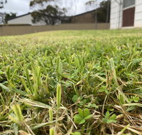 Karoonda Accommodation