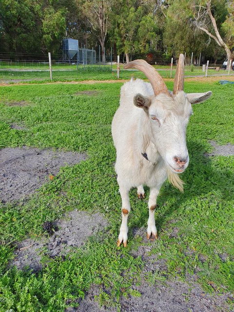 Kerriley Park FarmStay - VIC Tourism 2