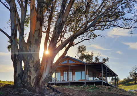 Kestrel Nest EcoHut - VIC Tourism 0