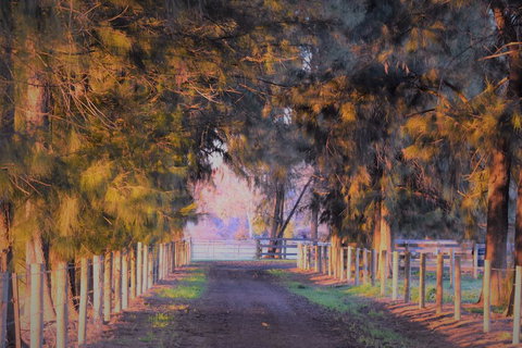 King River Cottage - VIC Tourism 3