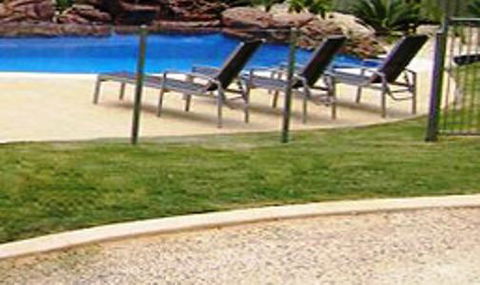 Koala Tree Motel - VIC Tourism 3