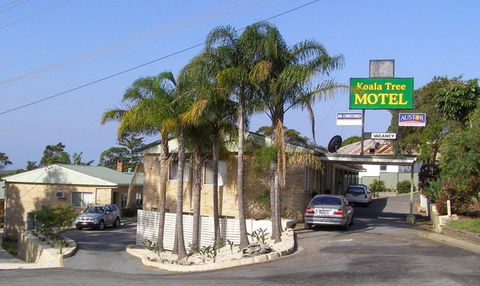Koala Tree Motel - VIC Tourism 1