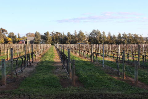 Milawa Vineyard Views - Guesthouse 1 - VIC Tourism 1