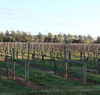 Milawa Vineyard Views - Guesthouse 2 - VIC Tourism