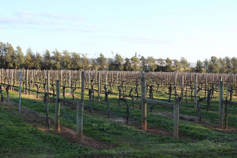 Milawa Vineyard Views - Guesthouse 2 - VIC Tourism 0