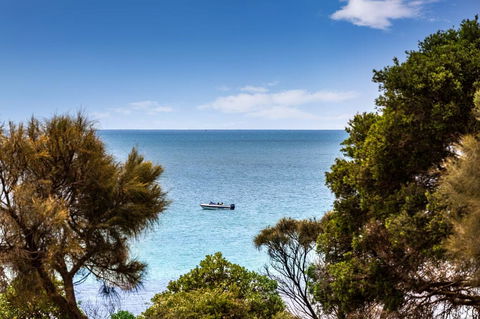 Mills Beach Retreat Luxury Family Retreat With Hydrotherapy Spa, Opposite Beach, Walk To Village - VIC Tourism 2