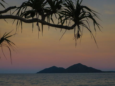 Mission Beach Hideaway Holiday Village - VIC Tourism 1