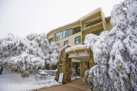 Mt Buller Chalet Hotel  Suites