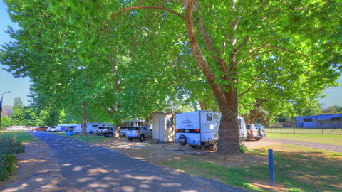 Myrtleford Holiday Park - VIC Tourism 1