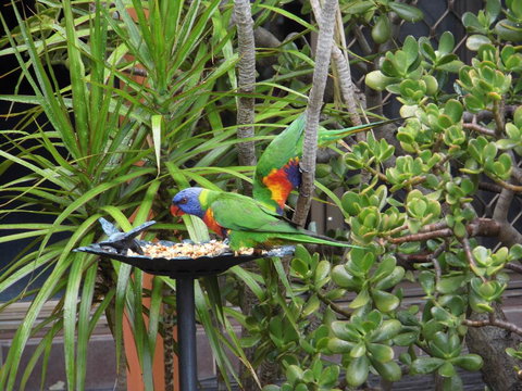 Nanango Fitzroy Motel - VIC Tourism 2