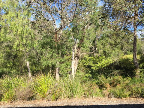 Cape Villas Dunsborough Unit 2 - VIC Tourism 26