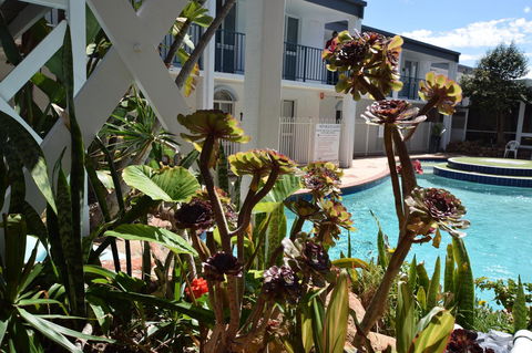 Seashore Memories - Sleeps 3 - VIC Tourism 14