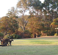 Riverside Retreat Chalets Walpole - VIC Tourism