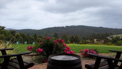 Karri Aura - VIC Tourism 3