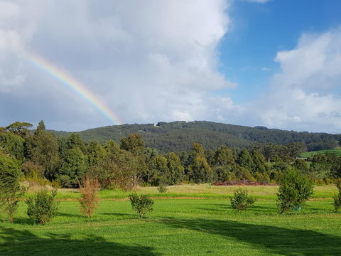 Karri Aura - VIC Tourism 5