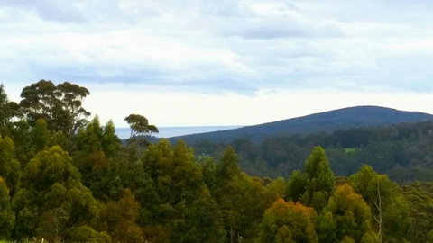 Karri Aura - VIC Tourism 10