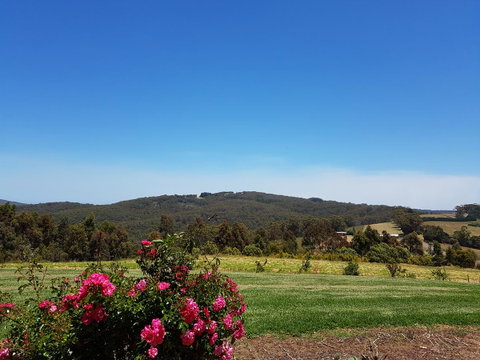 Karri Aura - VIC Tourism 9