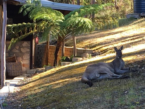 Kangaroo Valley Cottage - VIC Tourism 3