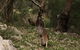 Kangaroo Valley Cottage - thumb 17