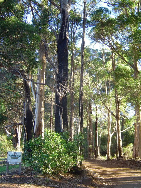 Kangaroo Valley Cottage - VIC Tourism 21