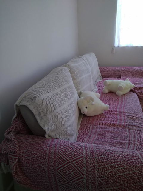 DIANELLA Budget Rooms Happy Place To Stay - VIC Tourism 29