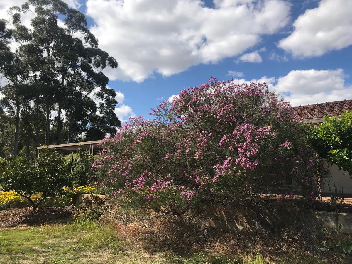 Beeliar WA VIC Tourism