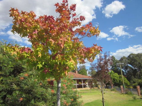 Bridgetown Valley Lodge - VIC Tourism 40
