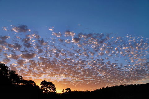 Bridgetown Valley Lodge - VIC Tourism 6