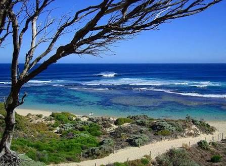 The Beach House - VIC Tourism 5