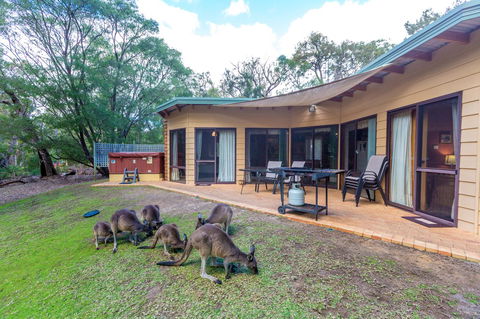 Yelverton Brook Conservation Sanctuary - VIC Tourism 18