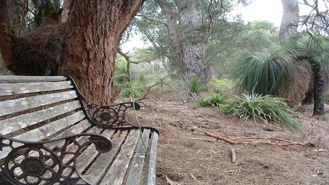 Yelverton Brook Conservation Sanctuary - VIC Tourism 42