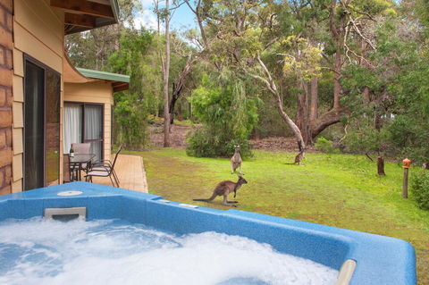 Yelverton Brook Conservation Sanctuary - VIC Tourism 9
