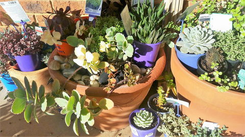 Quest Yelverton Kalgoorlie - VIC Tourism 11