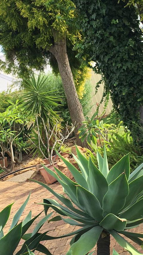 Armadale Cottage Bed & Breakfast - VIC Tourism 1