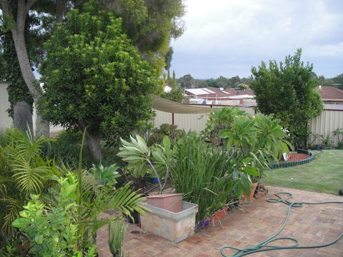 Armadale Cottage Bed & Breakfast - VIC Tourism 39