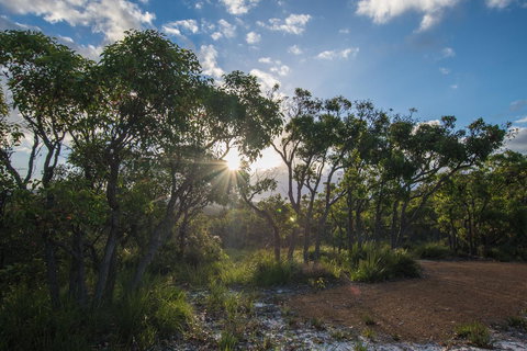 Cape Howe Cottages - VIC Tourism 1