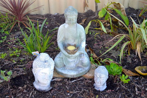 Palms Bed & Breakfast - VIC Tourism 22