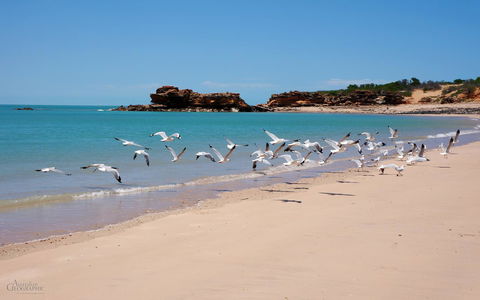 Apartments At Blue Seas Resort - VIC Tourism 25