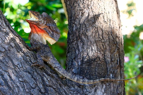 Habitat Resort - VIC Tourism 40