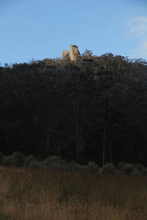 Tanen Farm - VIC Tourism 9