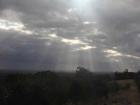 Tanen Farm - VIC Tourism 13