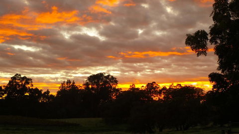 Windfall Estate Vineyard Cottage - VIC Tourism 32