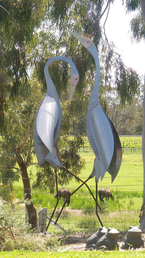 Windfall Estate Vineyard Cottage - VIC Tourism 31