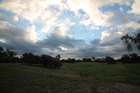 Windfall Estate Vineyard Cottage - VIC Tourism 33