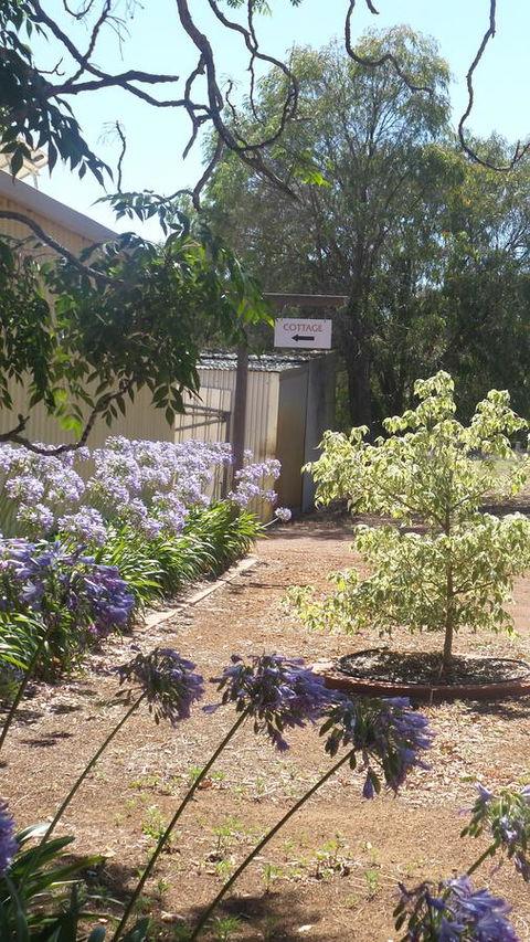Windfall Estate Vineyard Cottage - VIC Tourism 13