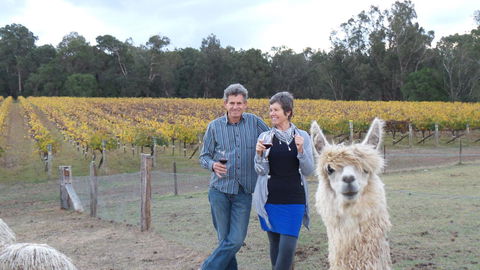 Windfall Estate Vineyard Cottage - VIC Tourism 11